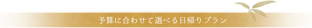 予算に合わせて選べる日帰りプラン