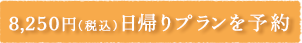 8,250円（税込）　日帰りプランを予約