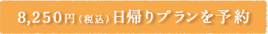 8,250円（税込）日帰りプランを予約