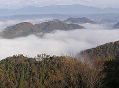 大山（おおやま）の雲海