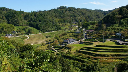 上山の棚田