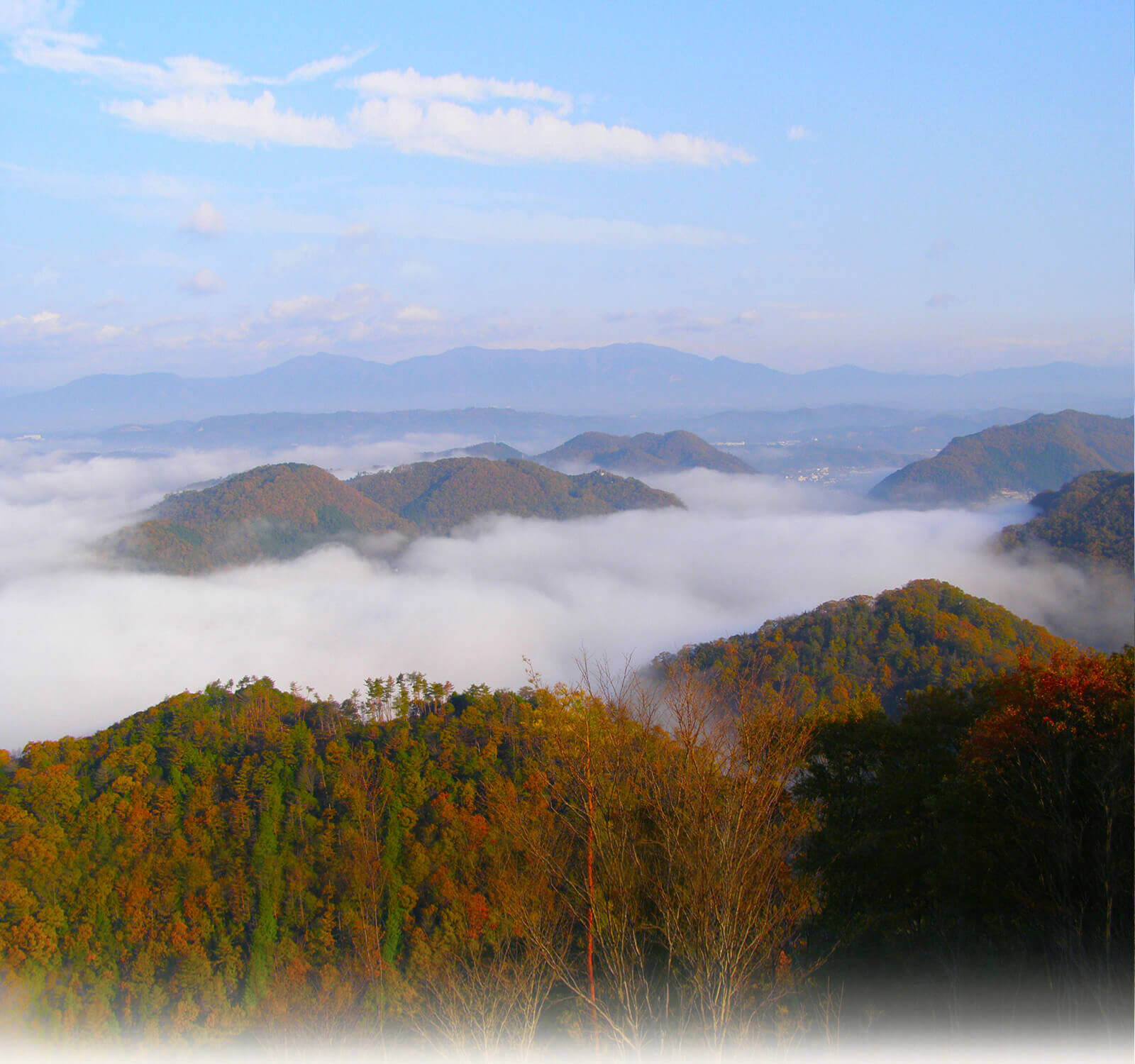 豊かな自然が織りなす絶景。