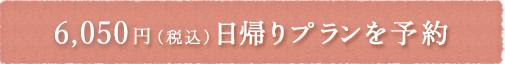 6,050円（税別）　日帰りプランを予約