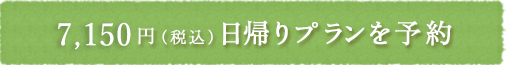 7,150円（税別）　日帰りプランを予約