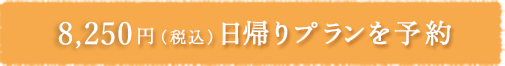 8,250円（税別）　日帰りプランを予約