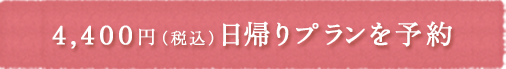 4,400円（税別）　日帰りプランを予約