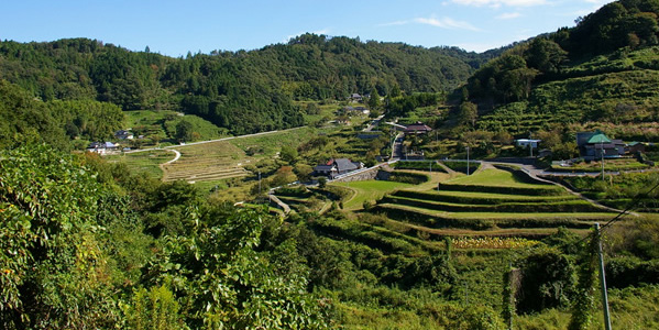 上山の棚田