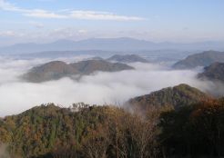 大山（おおやま）の雲海