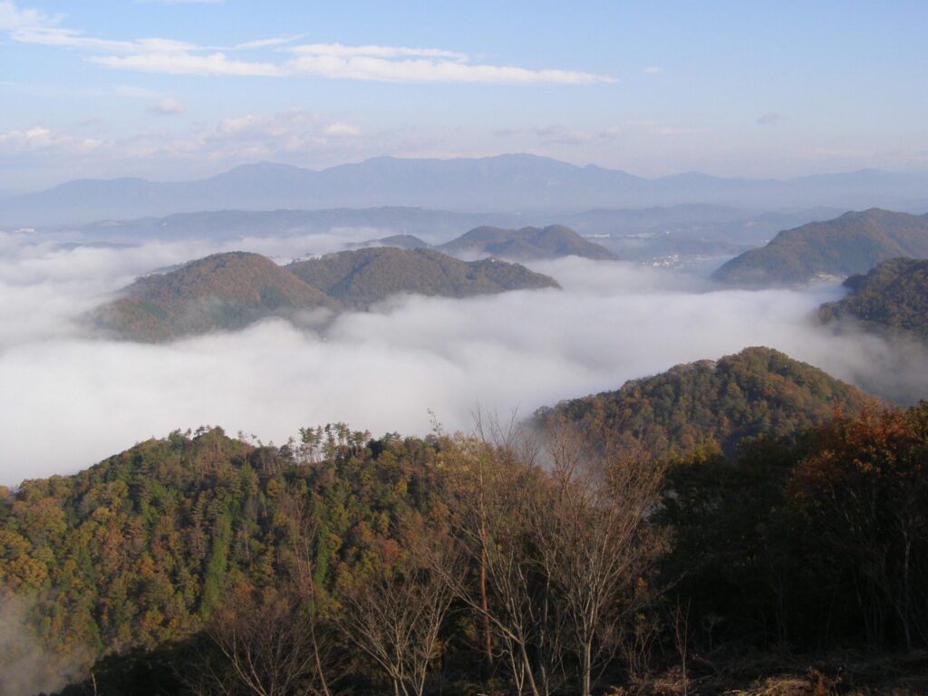 早起きはご褒美！「大山展望台」の雲海のご紹介