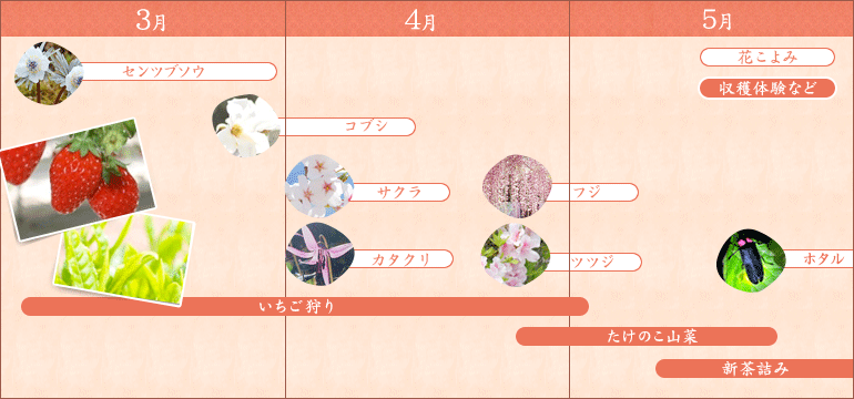 春のイベントマップ