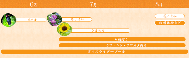 夏のイベントマップ