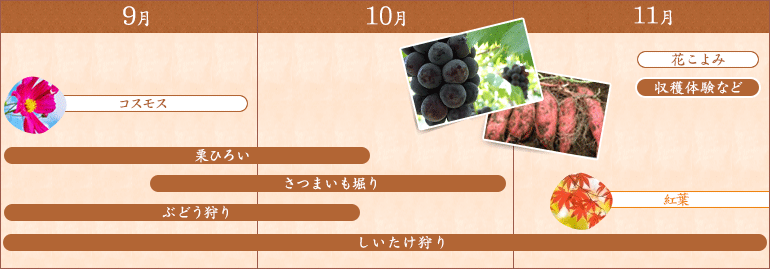 秋のイベントマップ